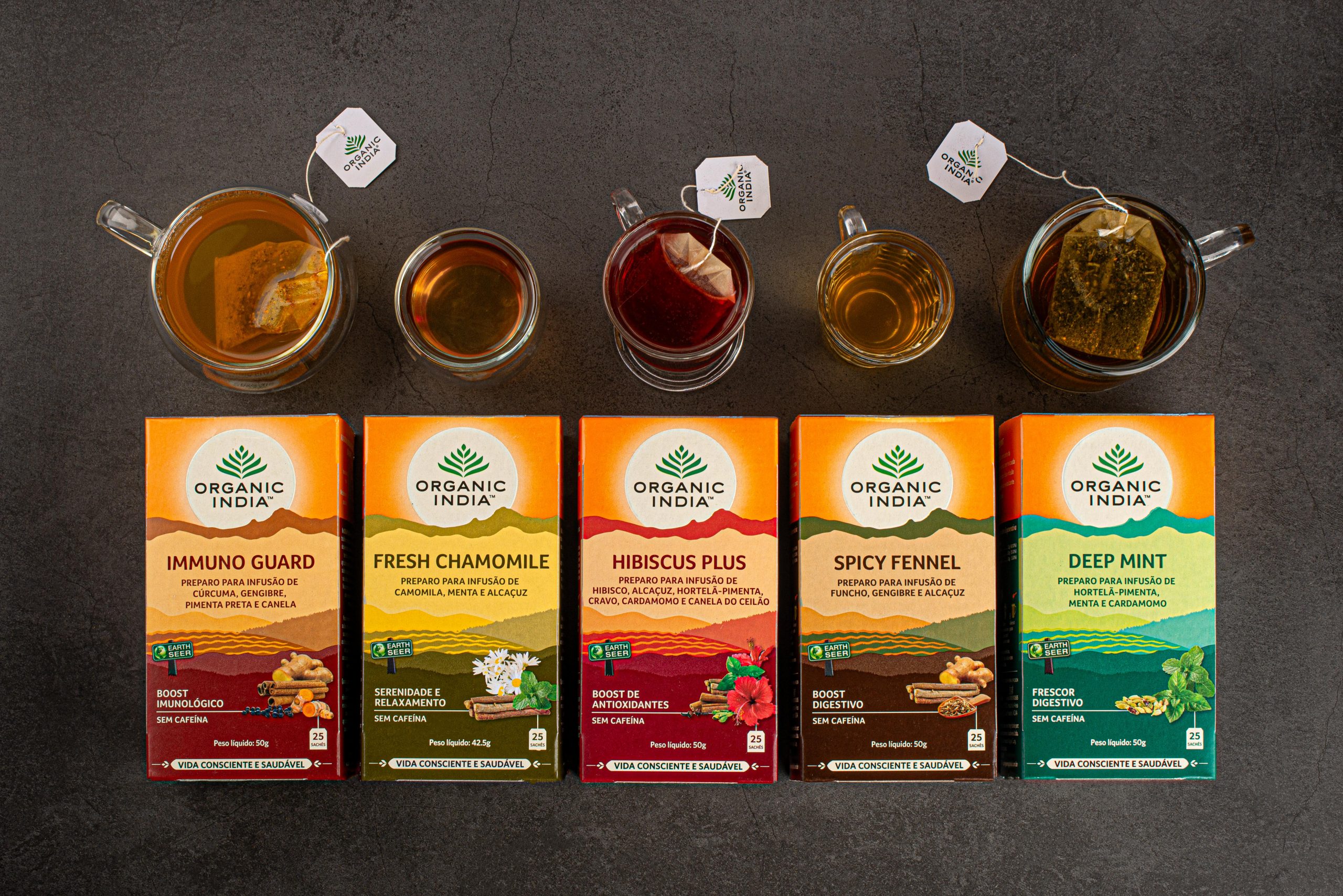 Viva Floresta volta a comercializar chás da Organic India para todo o Brasil