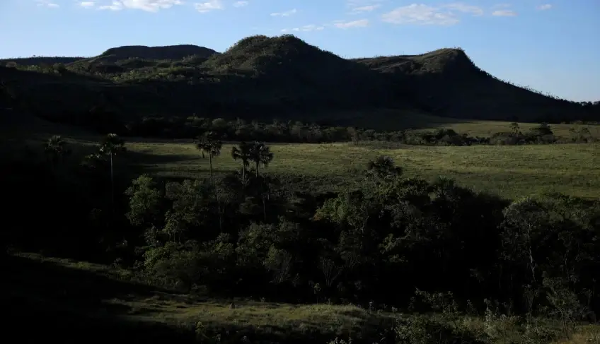 Está aberto edital para apoiar negócios inovadores no Pantanal e no Cerrado