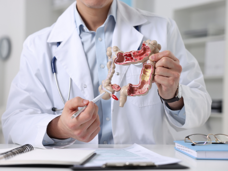 Como o estresse e a saúde mental pode afetar o nosso intestino