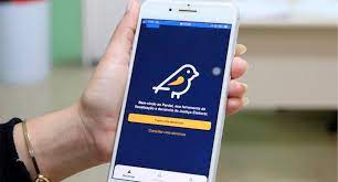 Eleitores podem denunciar irregularidades via aplicativo Pardal