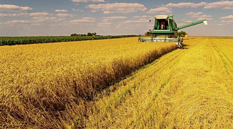 Plataforma digital CEI/MT transforma transações imobiliárias e impulsiona o agronegócio em Mato Grosso