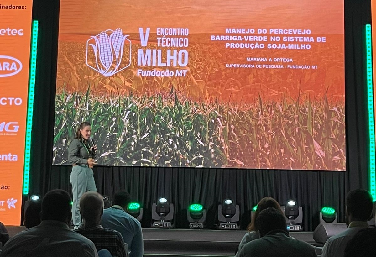 Combate ao percevejo barriga-verde no milho começa na lavoura de soja