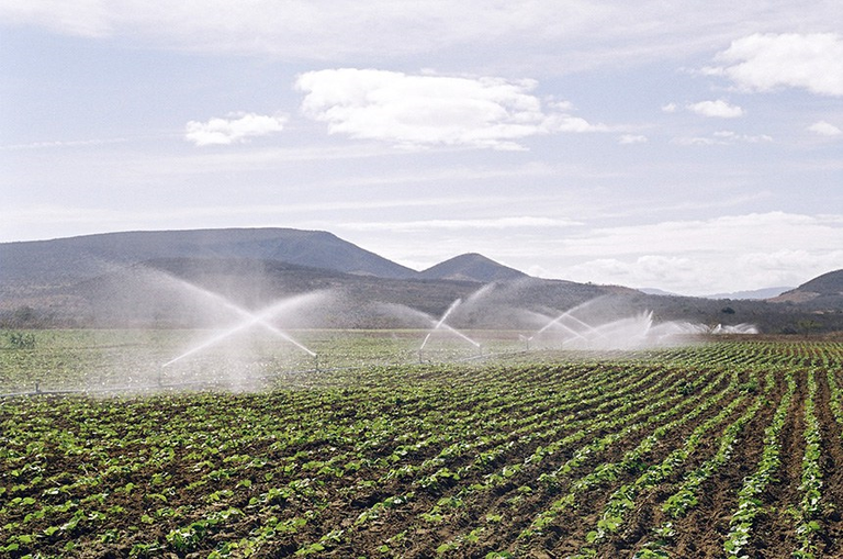Irrigação abrange 1,7 milhão de hectares e reforça segurança alimentar 