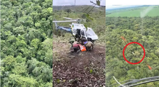 Piloto que sobreviveu a queda de avião em mata fechada é resgatado um dia depois