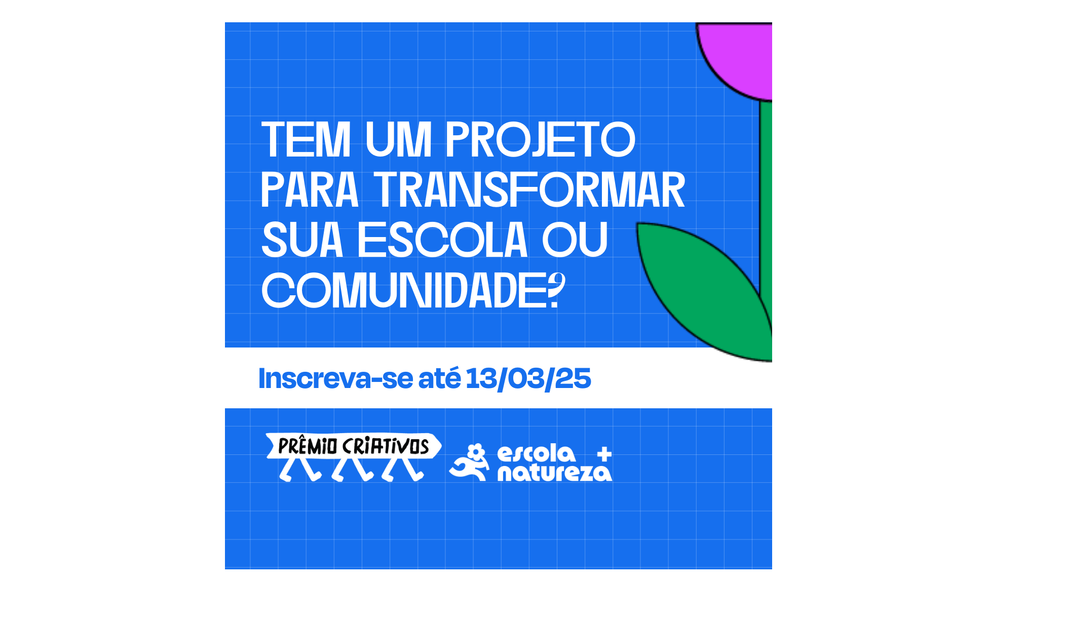Inscrições para o Prêmio Criativos Escola + Natureza são prorrogadas até 13 de março; grupos concorrem a R$ 12 mil e viagem à COP30, em Belém (PA) 