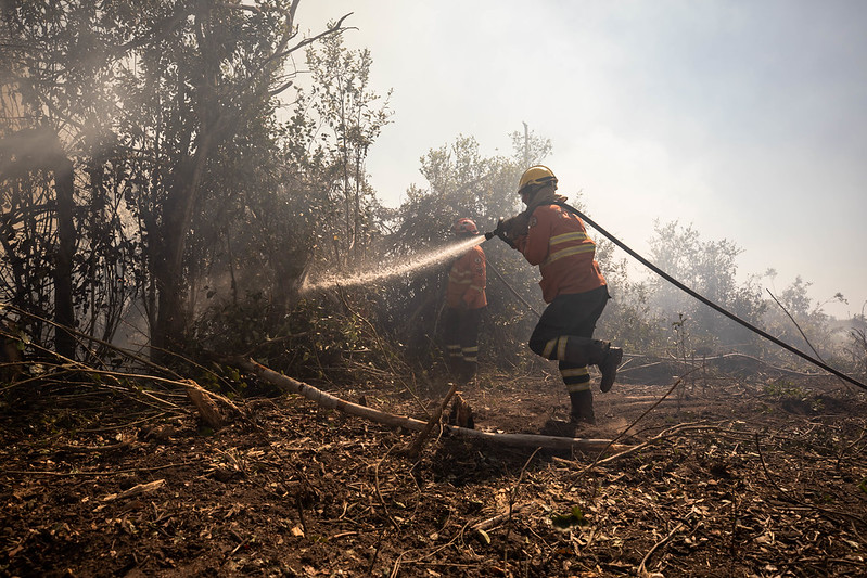 Mato Grosso sedia Congresso Internacional de Gestão de Incêndios Florestais