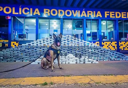 Rondonópolis | Cão farejador encontra 400 kg de drogas e munições em compartimento secreto de caminhão