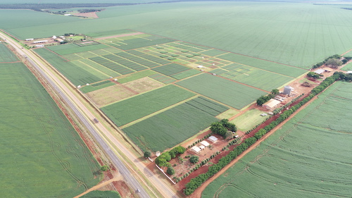 Fatores climáticos associados à escolha de cultivares foram diferenciais para resultados na soja