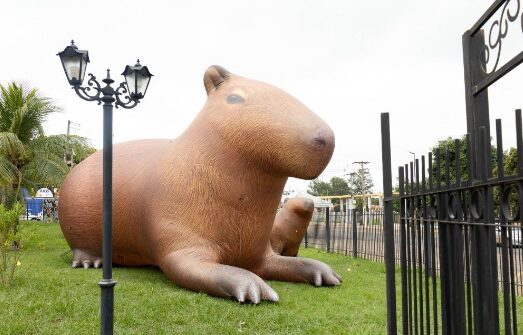 Rondonópolis | Capivara de quatro metros de altura chama atenção para Virada Sustentável Mato Grosso