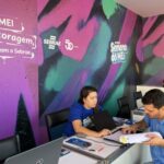 mei sebrae