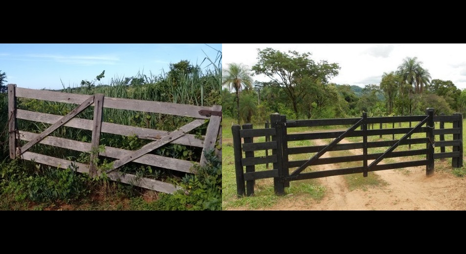 O capricho que gera lucro: Como o cuidado com os detalhes transforma a fazenda