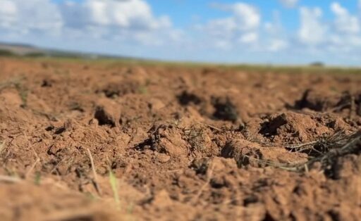 Programa Solo Vivo vai recuperar áreas degradadas e fortalecer a agricultura familiar em Mato Grosso
