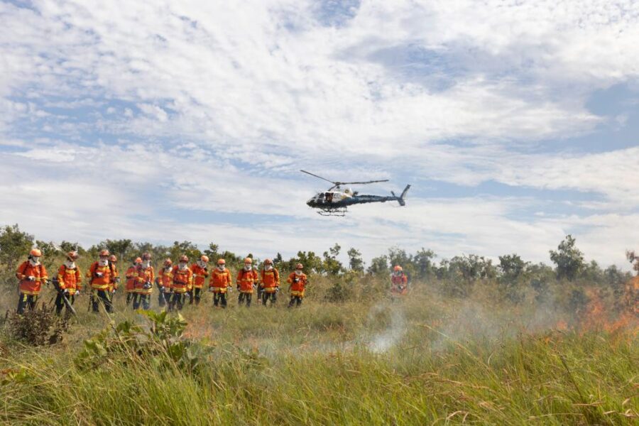 ForestFire apresenta programação com especialistas de 10 países e feira gratuita de tecnologias
