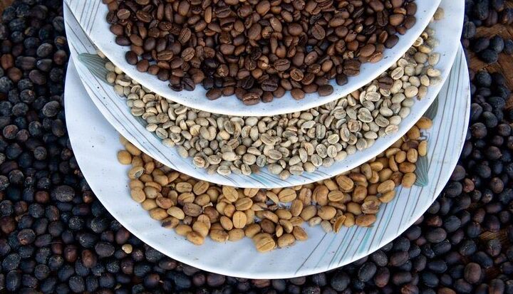 O futuro do café: 5 caminhos que vão marcar a próxima década