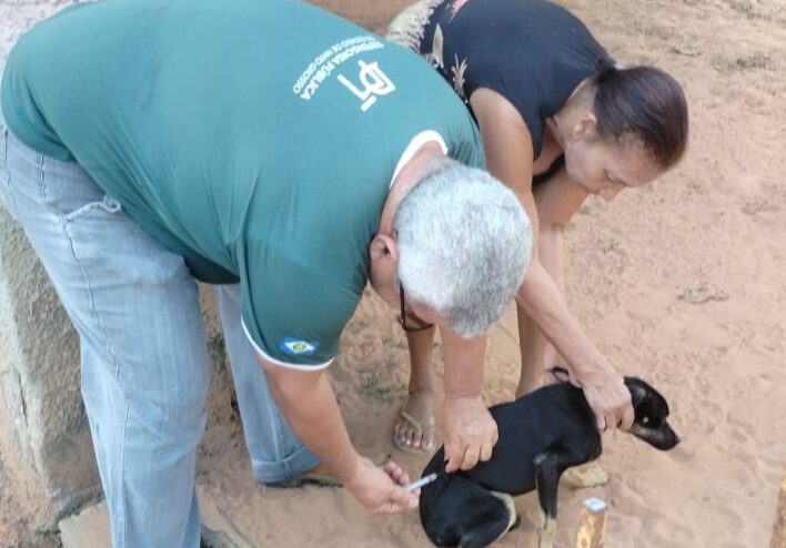 Rondonópolis | Município realiza vacinação de pets de porta em porta