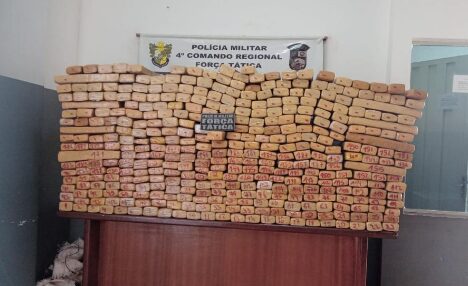 Força Tática tira de circulação 391 tabletes de maconha em Rondonópolis; drogas apreendidas pesam cerca de 490 kg