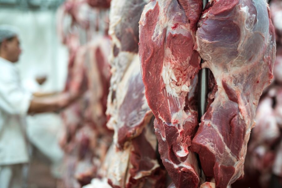Mato Grosso se consolida como potência global na venda de carne bovina, com 3% das exportações mundiais da proteína