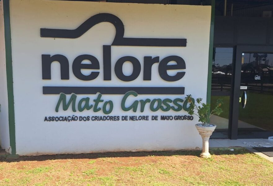 Nelore MT terá estande na Acricorte 2025 e reforça compromisso com a cadeia da carne