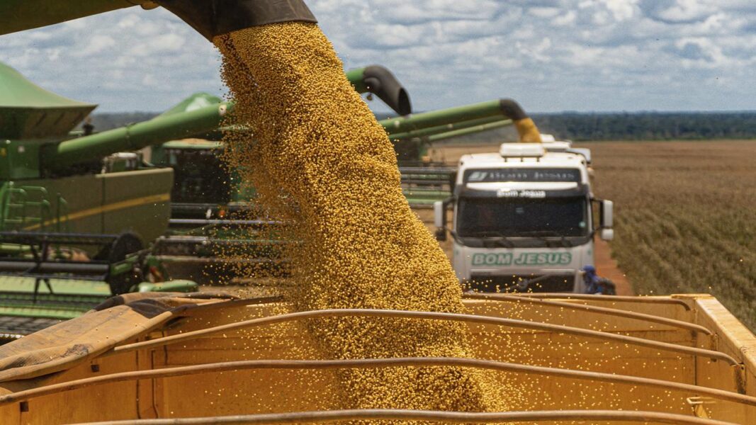 Bom Jesus Agropecuária amplia agenda ESG e lança segundo Relatório de Sustentabilidade 