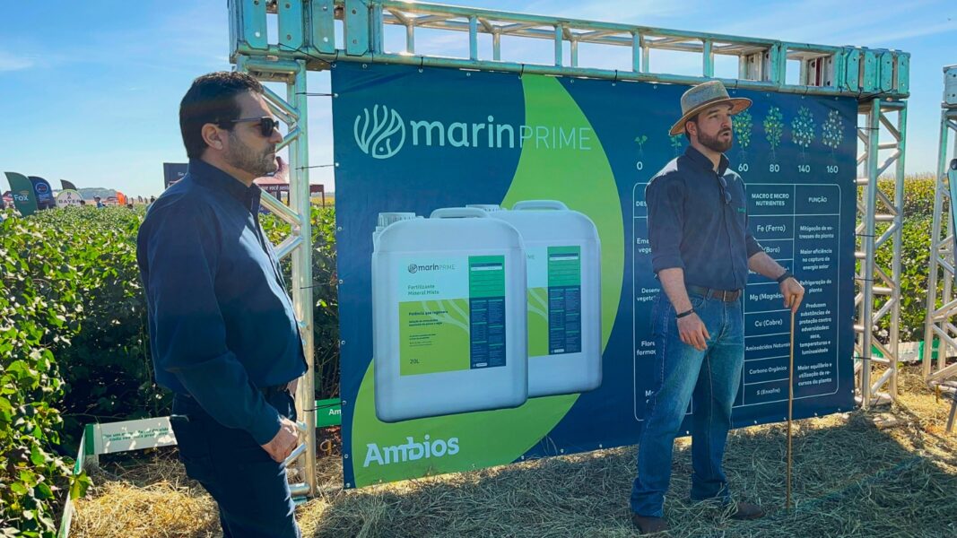 Fertilizantes a base de peixe apresentam boa performance e contribui para avanços técnicos no cultivo de algodão em MT