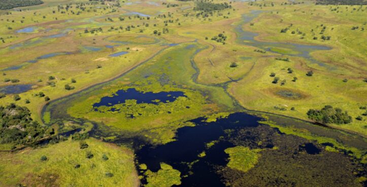 WWF-Brasil alerta: Pequenas Centrais Hidrelétricas no Pantanal podem gerar prejuízo de R$ 7 bilhões