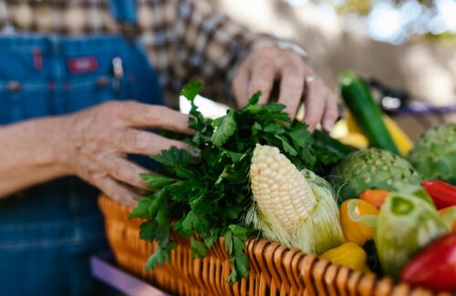AgroAmigo já soma mais de 12,8 mil contratos e movimenta R$ 150 milhões 