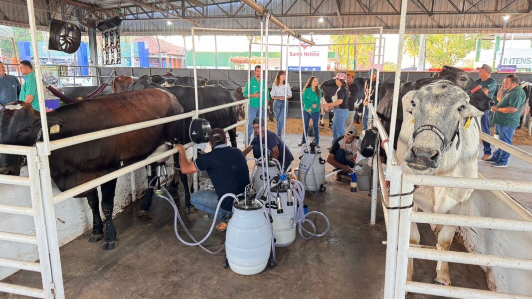 Primeira ordenha marca início da disputa da 31ª edição do Torneio Leiteiro da Exposul 51