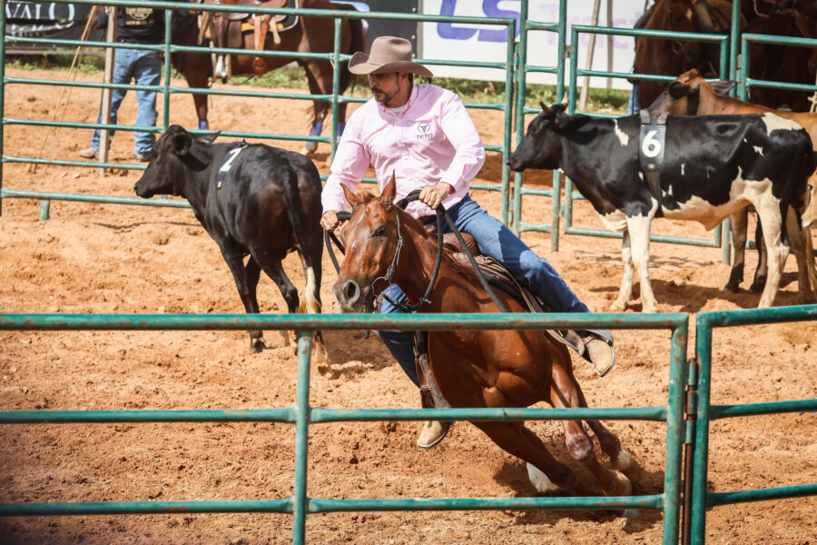 Com portões abertos, Semana do Cavalo Edição Rondonópolis entra nos preparativos finais