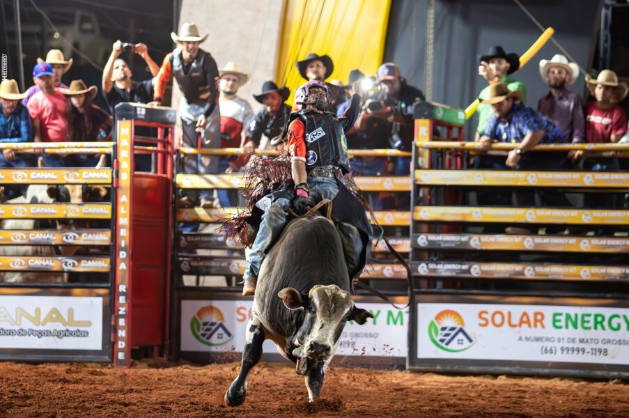 Semana do Cavalo Rondonópolis fecha com sucesso de público e organização promete 2ª edição em 2026