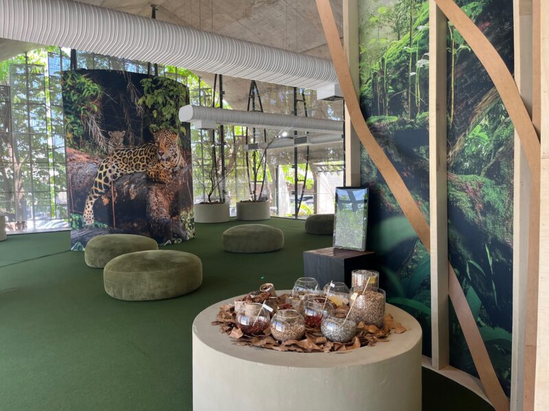 Exposição artística “Chão de Sonhos” reflete sobre a cultura, tecnologia e sustentabilidade em MT