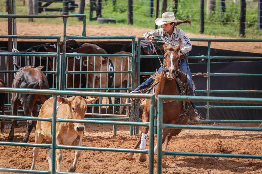 Programação da Semana do Cavalo Edição Rondonópolis terá eventos gratuitos a partir da oito da manhã da próxima quarta-feira