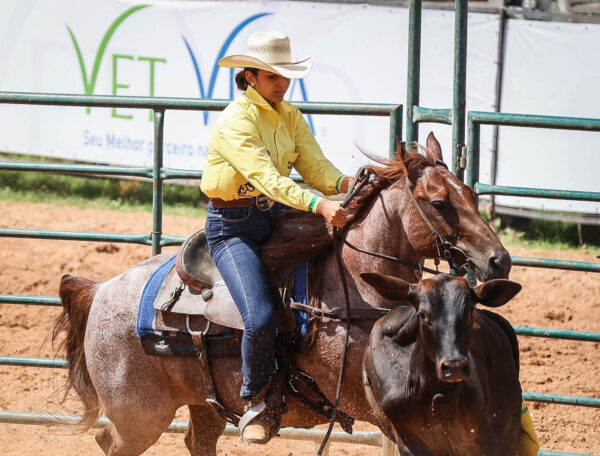 Semana do Cavalo | Edição Rondonópolis apresenta circuito de palestras Conexão Ciência e Cavalo