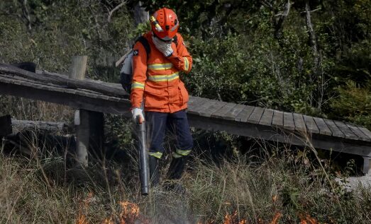 Corpo de Bombeiros combate 37 incêndios florestais nesta quarta-feira (3)