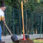 Rondonópolis | Prefeito marcará Dia da Árvore com mutirão de plantio de mudas Screenshot_50