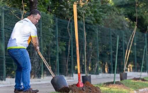Rondonópolis | Prefeito marcará Dia da Árvore com mutirão de plantio de mudas