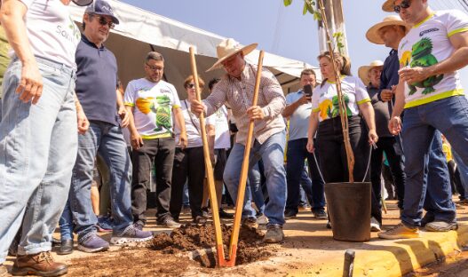Rondonópolis | Prefeito lidera plantio de mudas na avenida Bandeirantes