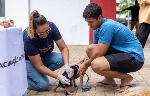 Dia D de Vacinação Antirrábica acontece neste sábado (27) em Rondonópolis
