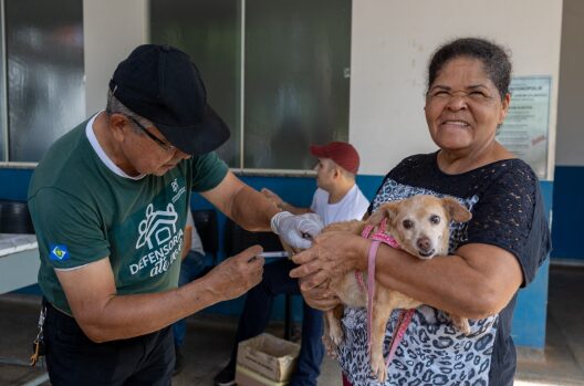 Rondonópolis | Quase 16 mil animais são vacinados no Dia D de Vacinação Antirrábica