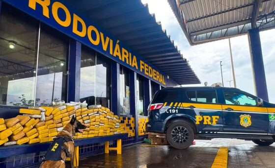 Cão farejador da PRF encontra mais de 160 kg de drogas durante fiscalização em MT