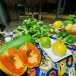 Hortaliças e frutas produzidas por agricultores da Comunidade Nova União qualidade e regularidade garantidas após a chegada das consultorias do Sebrae.