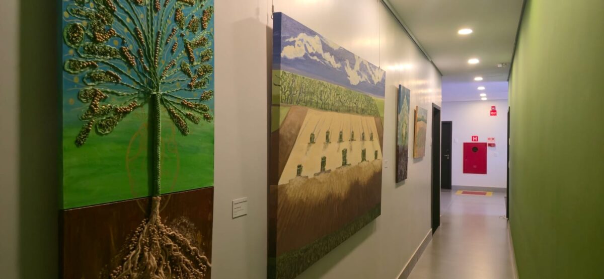 Concurso Arte Raiz premia talentos da arte manual brasileira e destaca o simbolismo do milho