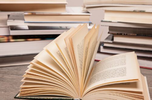 Consciência Negra: conheça 12 autores negros da literatura brasileira