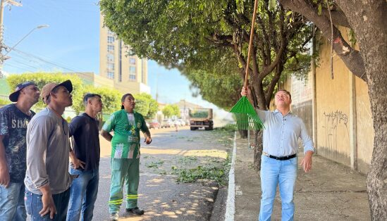 Rondonópolis passa a contar com equipe especializada em podas de árvores