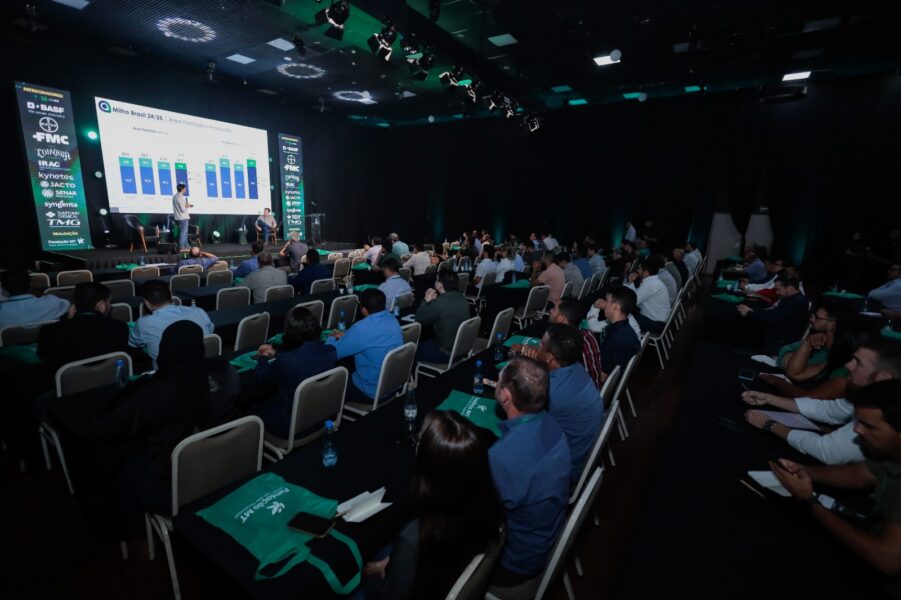 “Não dá mais para imaginar o mundo sem milho”: especialistas reforçam o papel estratégico do cereal para o campo e a indústria