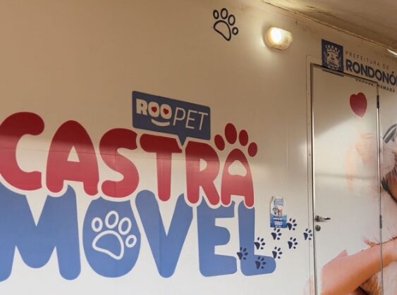 Cibear realiza mais de 2.600 castrações em 6 meses em Rondonópolis