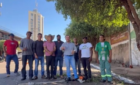 Rondonópolis em Foco: A Importância Estratégica da Poda de Árvores para a Gestão Urbana