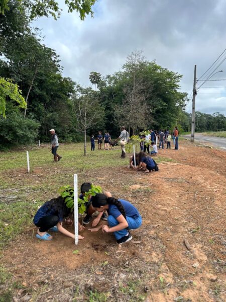 Projeto Águas do Lira já plantou mais de 17 mil mudas para recuperar nascentes em Sorriso