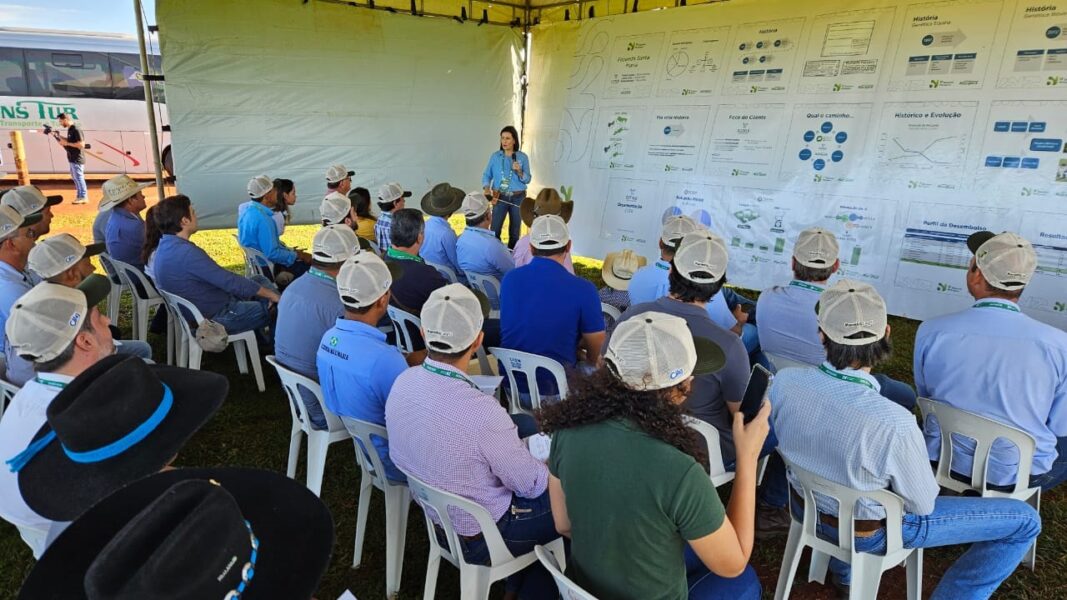 “A Carne do Futuro” será tema de simpósio nas principais cidades de Mato Grosso