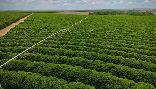Sistema nacional aprimora manejo da irrigação e uso eficiente da água