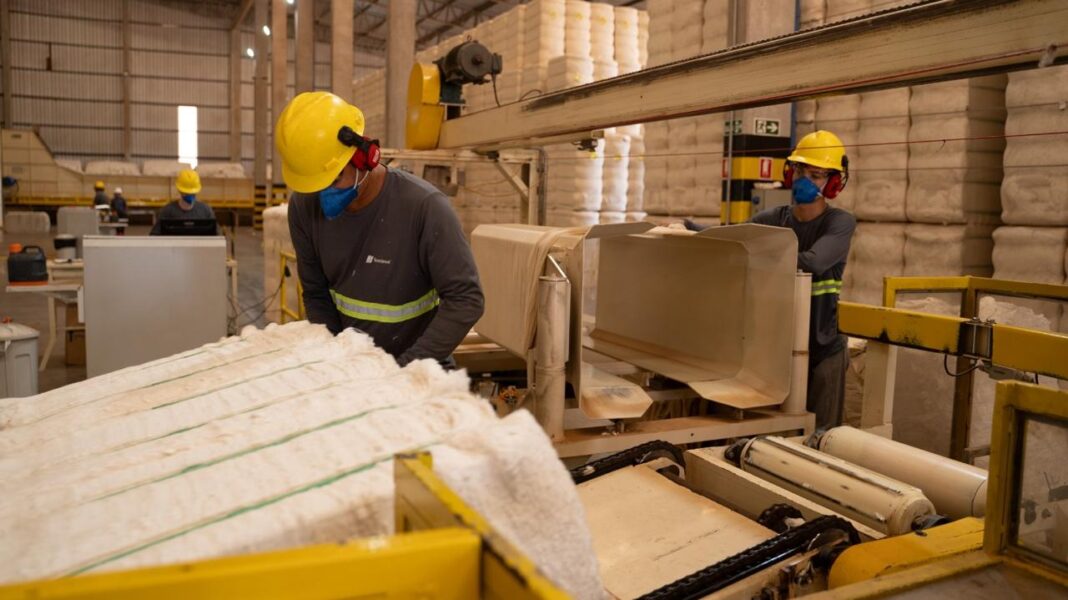 Conheça o ciclo do algodão, uma alternativa sustentável à indústria da moda